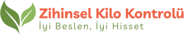 logo-renkli